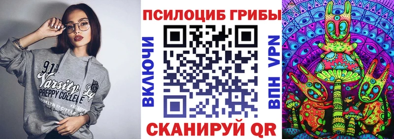 Галлюциногенные грибы Psilocybe Фурманов